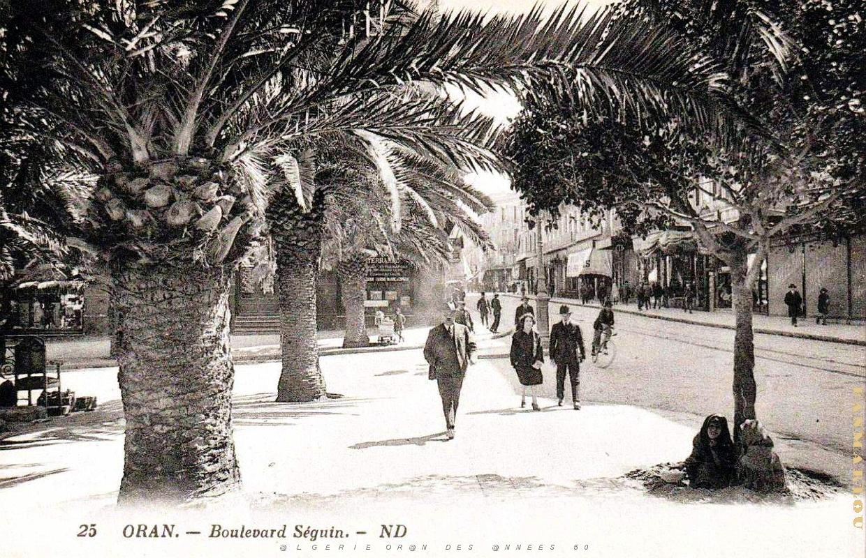 2433- Oran - Boulevard Seguin.jpg